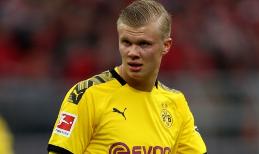 此案的结论 此案的结论