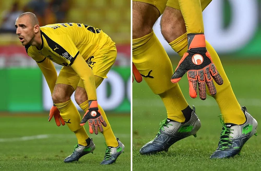 的协同尤为 的协同尤为